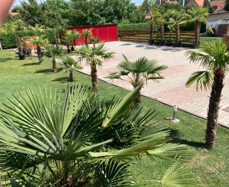 Hotel Roze Vendeghaz Villány Exterior foto